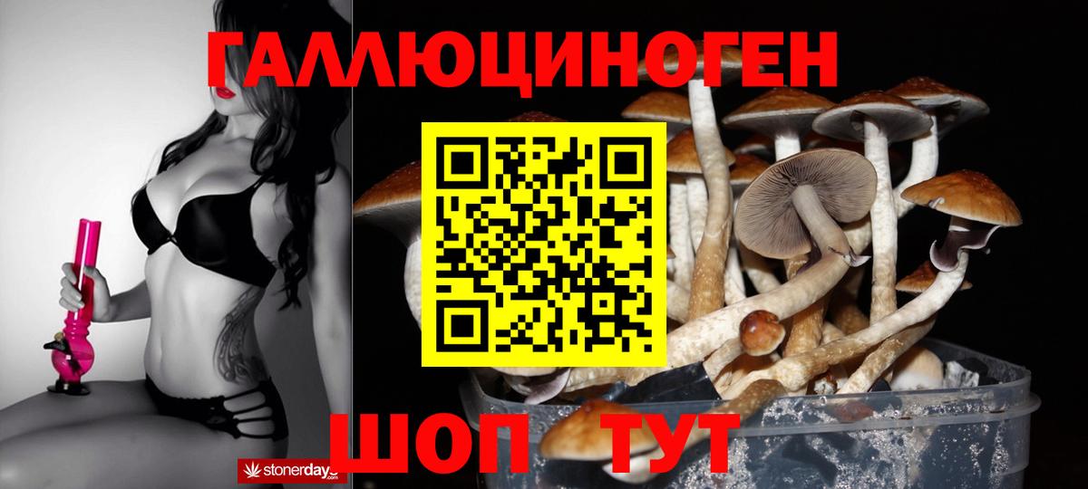 Галлюциногенные грибы GOLDEN TEACHER  наркота  Черняховск  Вход с VPN 